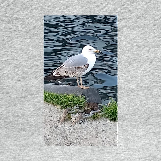 Sea bird by AJQ Tees